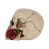 Crâne avec une Rose