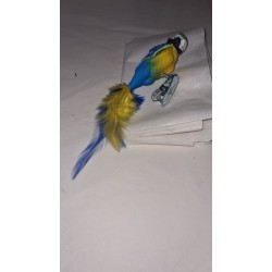 Perroquet Jaune et Bleu
