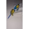 Perroquet Jaune et Bleu