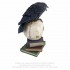 Le Corbeau de Poe