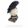 Le Corbeau de Poe