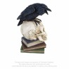 Le Corbeau de Poe