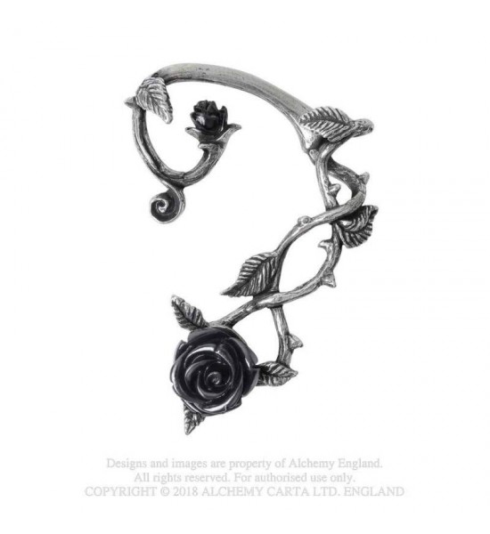 Tour d'Oreille Rose noire