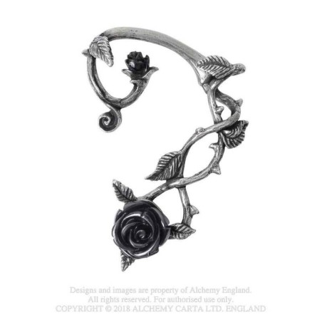 Tour d'Oreille Rose noire