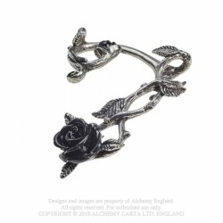 Tour d'Oreille Rose noire