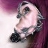 Tour d'Oreille Rose noire
