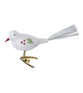 Oiseau Blanc