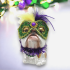 Bouledogue Mardi Gras