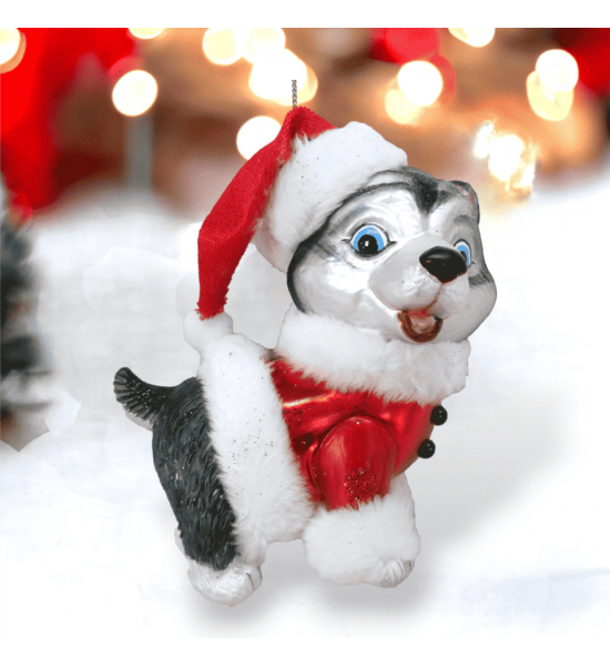 Husky Père Noël