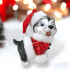 Husky Père Noël