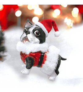 Boston Terrier Père Noël