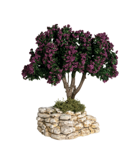 Arbre Lilas