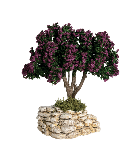 Arbre Lilas