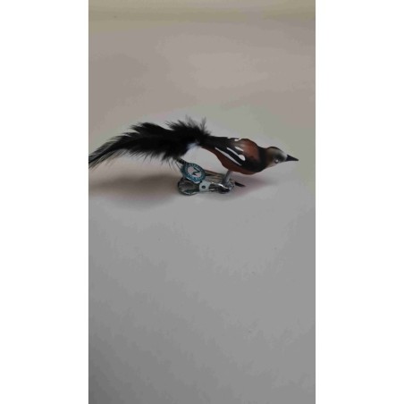 Petit Oiseau