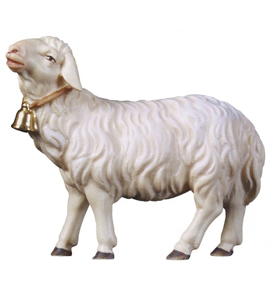 Mouton Tête Droite