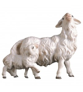 Mouton et Agneau