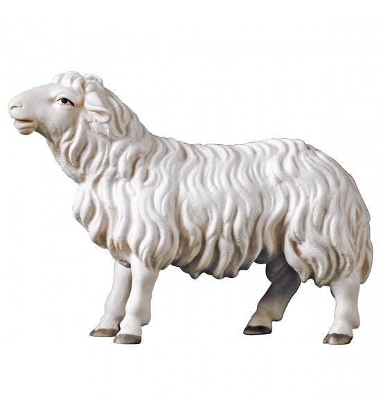 Mouton Tête Droite