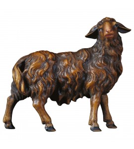 Mouton Marron