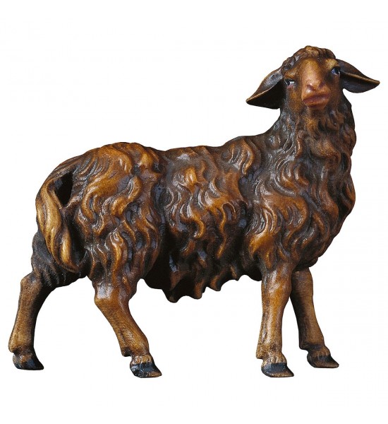 Mouton Marron