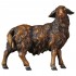 Mouton Marron