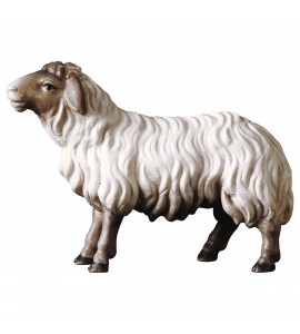 Mouton Tête Marron
